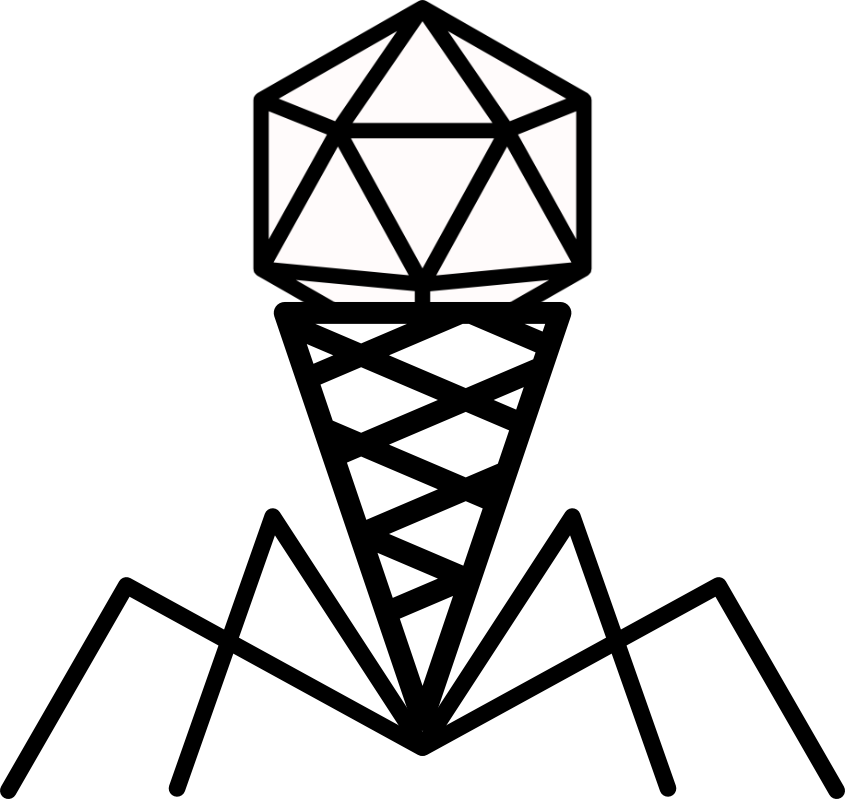 Long-read metagenomics reveals phage dynamics in the human gut microbiome